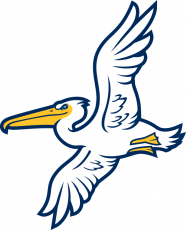 Myrtle Beach Pelicans 2007-Pres Alternate Logo heat sticker