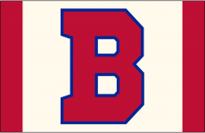 Buffalo Bisons 2013-Pres Cap Logo heat sticker
