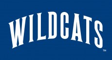 Villanova Wildcats 1996-Pres Wordmark Logo heat sticker
