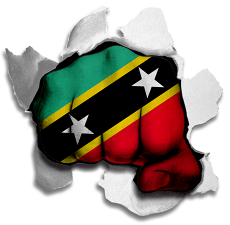 Fist Saint Kitts and Nevis Flag Logo heat sticker