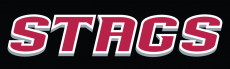 Fairfield Stags 2002-Pres Wordmark Logo 09 custom vinyl decal