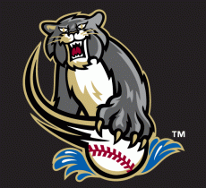 Sacramento River Cats 2000-2006 Cap Logo 3 heat sticker