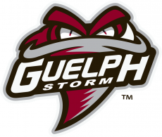 Guelph Storm 2018 19-Pres Primary Logo custom vinyl decal