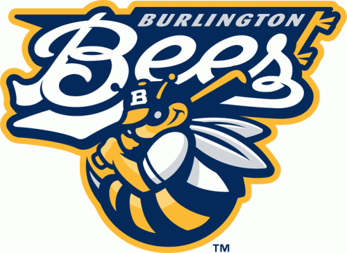 Burlington Bees 2007-Pres Primary Logo heat sticker