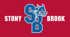 Stony Brook Seawolves 2008-Pres Alternate Logo 03 custom vinyl decal