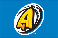 Akron RubberDucks 2014-Pres Cap Logo heat sticker