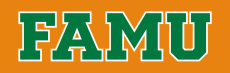 Florida A&M Rattlers 2013-Pres Wordmark Logo 02 heat sticker
