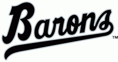 Birmingham Barons 1993-2007 Wordmark Logo heat sticker