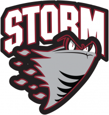 Guelph Storm 1997 98-2006 07 Primary Logo heat sticker