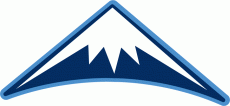 Denver Nuggets 2008 09-2017 18 Alternate Logo heat sticker