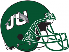 Jacksonville Dolphins 1996-2018 Helmet heat sticker