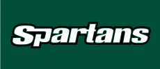 USC Upstate Spartans 2003-2010 Wordmark Logo heat sticker