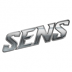 Ottawa Senators Silver Logo heat sticker