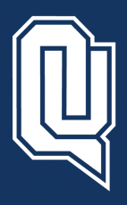 Quinnipiac Bobcats 2002-2018 Alternate Logo heat sticker