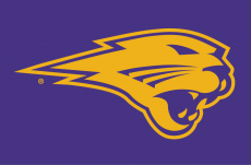Northern Iowa Panthers 2002-2014 Partial Logo 02 custom vinyl decal