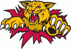 Moncton Wildcats 1996 97-Pres Primary Logo custom vinyl decal