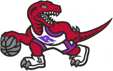 Toronto Raptors 1995-2006 Alternate Logo heat sticker