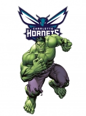 Charlotte Hornets Hulk Logo custom vinyl decal