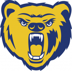 Northern Colorado Bears 2004-2009 Secondary Logo 02 heat sticker