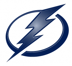 Tampa Bay Lightning Plastic Effect Logo heat sticker