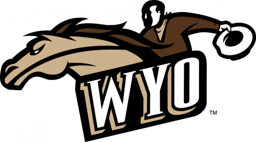 Wyoming Cowboys 1997-2006 Alternate Logo custom vinyl decal