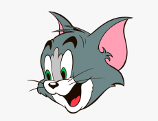 Tom and Jerry Logo 15 custom vinyl decal