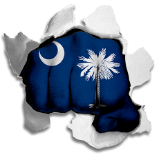 Fist South Carolina State Flag Logo custom vinyl decal