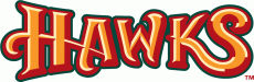 Boise Hawks 2007-Pres Wordmark Logo heat sticker