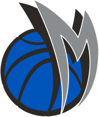 Dallas Mavericks 2001 02-2013 14 Alternate Logo custom vinyl decal
