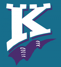 Charlotte Knights 1994-1998 Cap Logo heat sticker