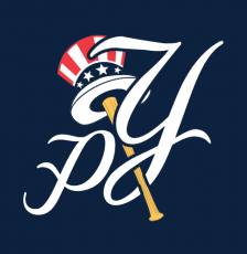 Pulaski Yankees 2015-Pres Cap Logo heat sticker