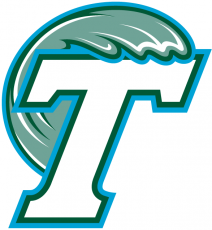 Tulane Green Wave 1998-2013 Secondary Logo heat sticker
