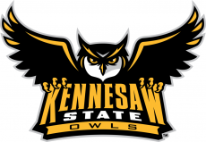 Kennesaw State Owls 2012-Pres Primary Logo custom vinyl decal