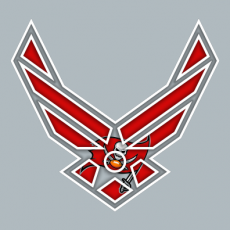 Airforce Tampa Bay Buccaneers Logo heat sticker