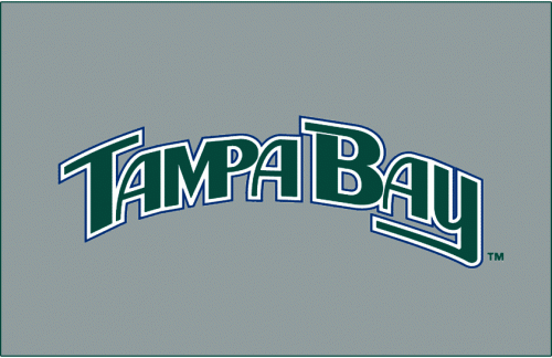 Tampa Bay Rays 2005-2007 Jersey Logo heat sticker