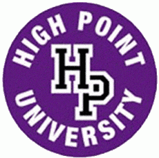 High Point Panthers 1976-1995 Primary Logo custom vinyl decal