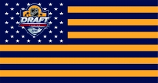 NHL Draft 2015 Flag001 logo custom vinyl decal