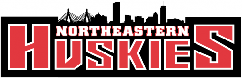 Northeastern Huskies 2001-Pres Wordmark Logo heat sticker