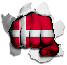 Fist Denmark Flag Logo custom vinyl decal