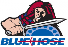 Presbyterian Blue Hose 2001-Pres Alternate Logo heat sticker