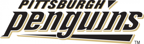 Pittsburgh Penguins 2002 03-2007 08 Wordmark Logo heat sticker