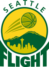 Seattle Flight 2013-Pres Primary Logo heat sticker