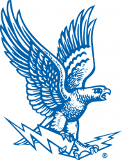 Air Force Falcons 1963-1994 Primary Logo heat sticker