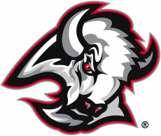 Buffalo Sabres 1996 97-1998 99 Primary Logo heat sticker