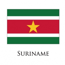 Suriname flag logo heat sticker