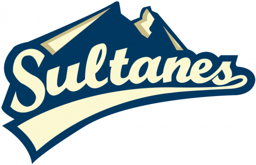 Monterrey Sultanes 2009-Pres Alternate Logo heat sticker