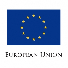 European Union flag logo heat sticker