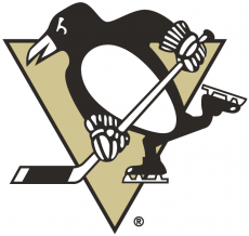 Pittsburgh Penguins 2002 03-2015 16 Primary Logo heat sticker