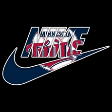 Minnesota Twins Nike logo heat sticker