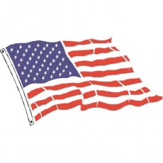 Flag Logo 10 heat sticker
